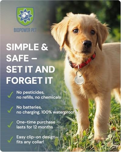 Shield Tag - Natural Flea & Tick Repellent Collar Tag for Dogs & Cats - Waterproof, Lasts 12 Months - Stainless Steel Pendant - Regular Tag (2 Pack)