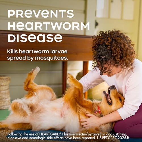 HEARTGARD® Plus (ivermectin/pyrantel) Real-Beef Chewables for Dogs up to 25 lbs (Blue Box) 1 Month Supply of Chews (Heartworm Disease Preventive)