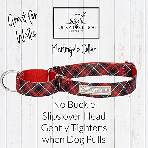 Lucky Love Dog Martingale Collar for Small Dogs No Slip – Heywood, Small