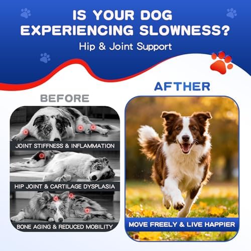 Hip and Joint Supplement for Dogs, Glucosamine for Dogs with MSM, Chondroitin, Dog Joints Supplement Supports Mobility & Joint Pain Relief, Liver Flavored Soft Chews Fit All Breeds & Sizes - 140Ct