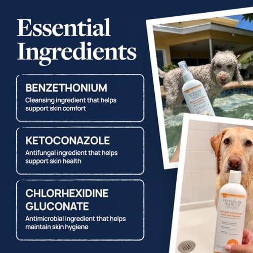 Veterinary Formula Clinical Care Antiseptic & Antifungal Shampoo + Spray