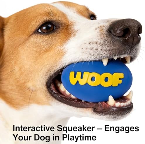 2-Pack Squeaky Rubber Football Dog Toys, Durable Chew & Teething Toy for Small & Medium Dogs, Interactive Fetch & Teeth Cleaning, WOOF Text (Blue, Small)