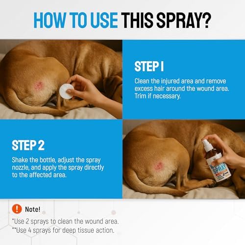 SILVER GRADE Dog Wound Spray Helps with Hot Spots, Irritations, Bites, Burns, Rashes, Itch, Scratching – Better Use with a Dog Cone to Stop Licking – Safe for Large and Small Breeds – 4 oz
