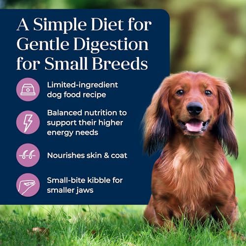 Blue Buffalo Basics Turkey Small Breed Adult Dry Dog Food, 11 lb