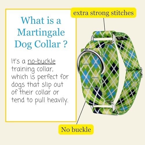 Country Brook Petz - HossFit Jr Wide Martingale Dog Collar - Plaid and Argyle Collection Featuring Charming Designs (Margarita Argyle, Large)