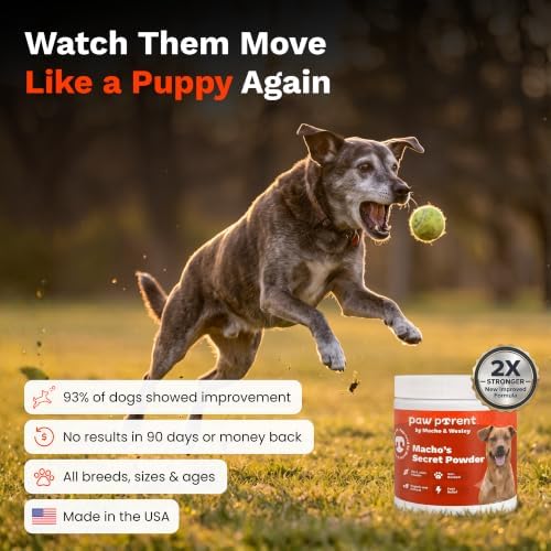 The Paw Parent Dog Hip and Joint Supplement, Green Lipped Mussel Powder