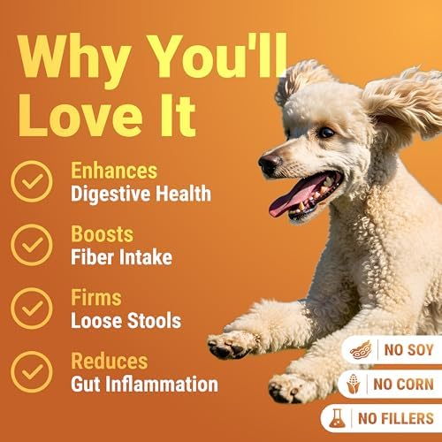 WuffWell Pumpkin Powder for Dogs - Fiber Supplement with Probiotics, USA