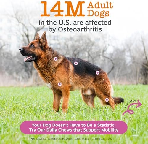 Zesty Paws Glucosamine for Dogs - Dog Joint Supplement, Bacon, 90 Ct