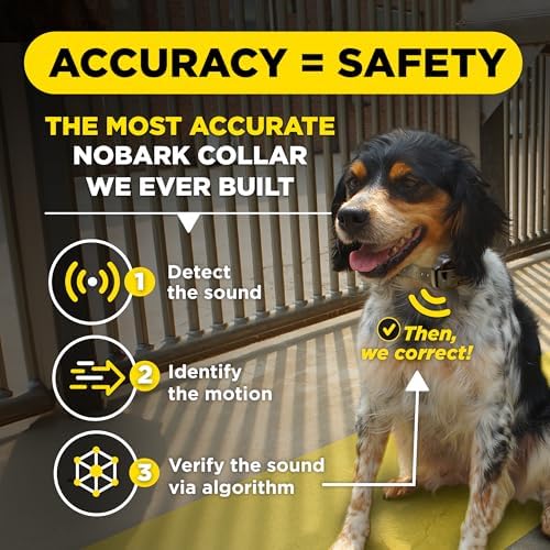 Dogtra Smart NOBARK with Titanium Contact 1" | Smart Bark Detection for Whining & Barking, 33 ft Range, App Notifications, Behavior Report, Waterproof, 10 lbs+, Ideal for Long-Haired Dogs
