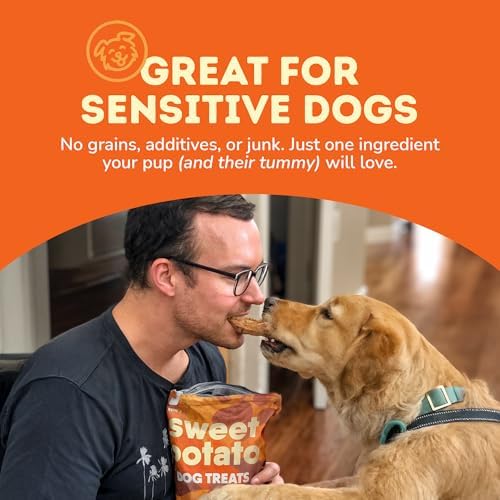 Davie's Sweet Potato Dog Treats - Healthy, Natural Dog Chews, Low Fat, 1 lb. Bag (Pack of 2)