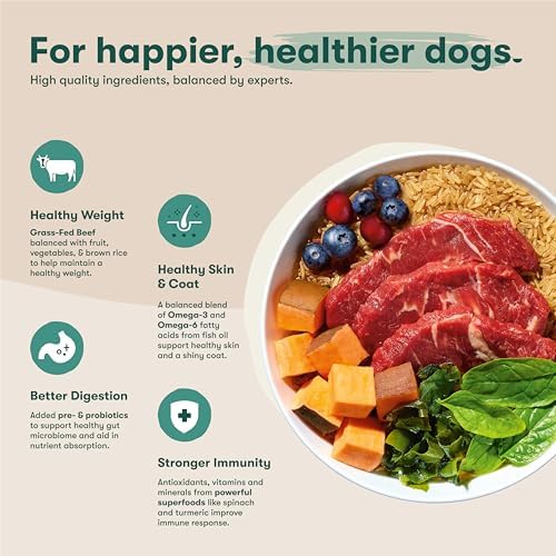 Jinx Dry Dog Food - Grass-Fed Beef, Brown Rice & Sweet Potato, 11.5lb