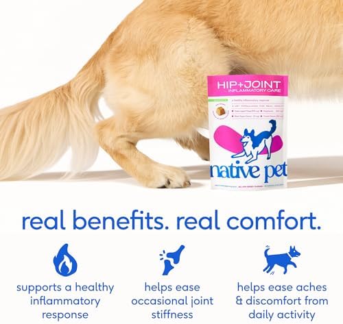 Native Pet Joint Care & Pain Relief Bundle: Hip & Joint Supplement for Dogs - Helps Maintain Healthy Cartilage & Flexibility - Pain Relief for Dogs with Collagen to Promote Bone Health - 60 Count