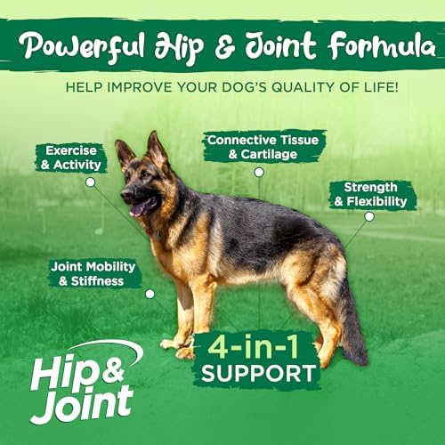Vital Planet - Hip and Joint Soft Chews for Dogs, with Glucosamine, MSM, and Collagen from Green-Lipped Mussel - 30 Bacon Flavored Soft Chews