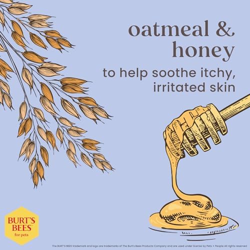 Burt's Bees for Pets Oatmeal Dog Shampoo, Mushroom & Oatmeal, 16 Fl Oz