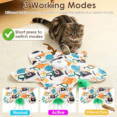 Interactive Cat Toys for Indoor Cats, USB Rechargeable Hide and Seek Automatic Feather Moving Kitten Toy with 2 Replaceable Wands, 3 Modes, 5-Min Auto-Sleep & Realistic Bird Sounds(Colorful)
