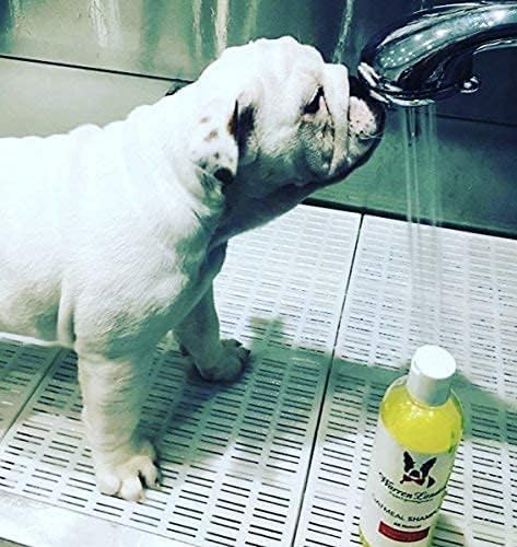 Warren London Oatmeal Dog Shampoo - Soothing Relief for Itchy, Flaky, Dry, & Sensitive Skin - Infused with Vitamins & Neem Oil - Stops Scratching - Made in USA - 17 oz
