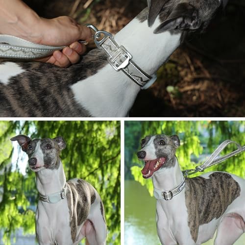 AirTag Dog Collar, Reflective Nylon, Metal Buckle, IP68, Dog Collar with AirTag Holder, Heavy Duty Dog Collars for Large Medium Small Dogs (Champagne Gold, L：Width 1",Neck 16.1"-25.2")