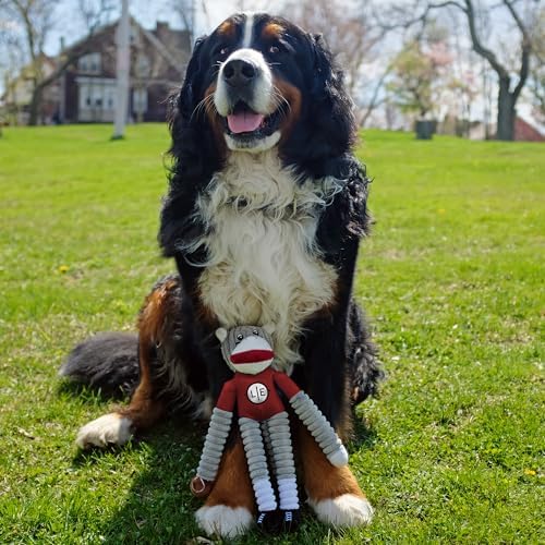 Littlearth NFL Atlanta Falcons Sock Monkey Pet Toy, Team Color, One Size