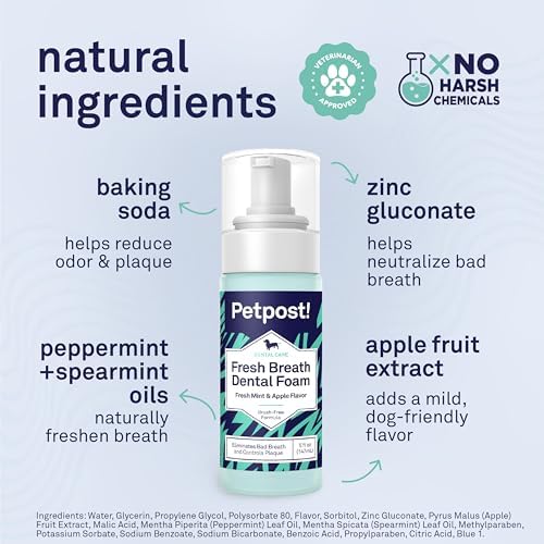 Petpost | Fresh Breath Foam for Dogs - Mint & Apple Flavored Dental Solution that Eliminates Bad Breath - Natural Tooth Cleaning Treatment 5 oz.