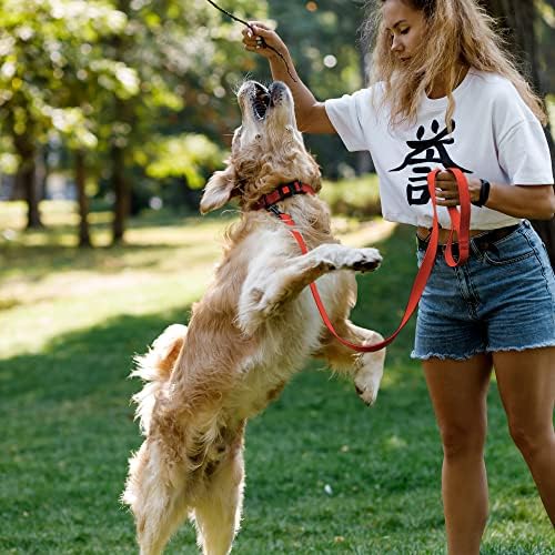 Reflective Dog Collar, Quick-Release Buckle (Orange, 7-11 Inch (New))