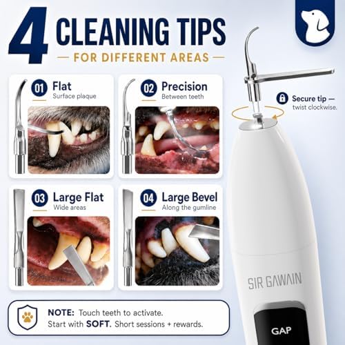 SIRGAWAIN Pet Ultrasonic Dental Cleaner — Plaque, Tartar & Stains Remover, 4 Tips, 3 Modes, LED, Contact-Activated & Smart Touch Protection, Complete Cleaning Kit for Dogs & Cats