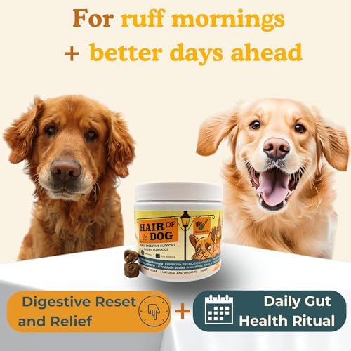 Hair of Le Dog, Canine Probiotic Digestive Support Daily Chews, 140 ct