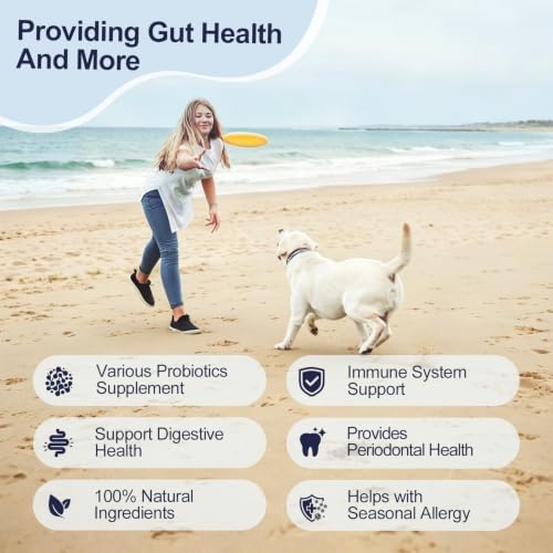 Probiotics for Dogs, Gut Digestive Health Probiotic Chews - Digestive Enzymes & Prebiotics, Pumpkin, Salmon Oil, Support Gut Health, Gas & Immune Supports, 200 Dog Probiotics Chews