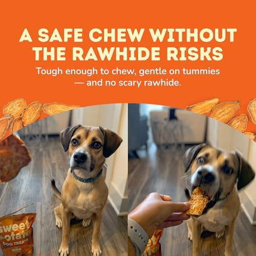 Davie's Sweet Potato Dog Treats - Healthy, Natural Dog Chews, Low Fat, 1 lb. Bag (Pack of 2)