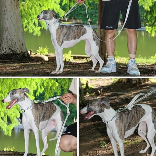 AirTag Dog Collar, Reflective Nylon, Metal Buckle, IP68, Dog Collar with AirTag Holder, Heavy Duty Dog Collars for Large Medium Small Dogs (Champagne Gold, L：Width 1",Neck 16.1"-25.2")