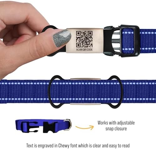 Smart Slide-On QR Code Pet Tag – Silent Dog & Cat ID Tag with Laser Engraving – Stainless Steel & Silicone – No App Needed – Custom Pet Profile – Fits Most Collars (Black, Large)