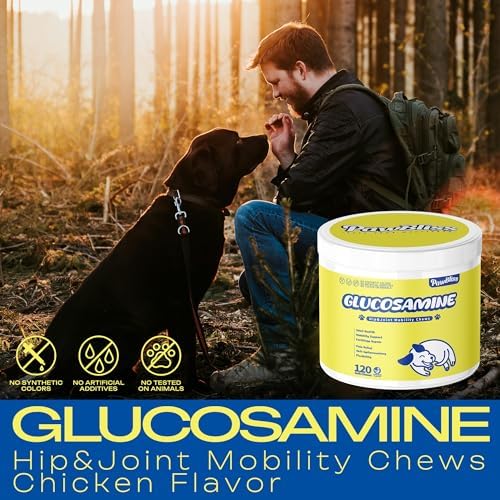 Glucosamine Joint Supplement for Dogs Joint Pain Relief – Glucosamine Chondroitin MSM & Turmeric Hip & Joint Support Chews for Large & Senior Dogs – 120 Ct