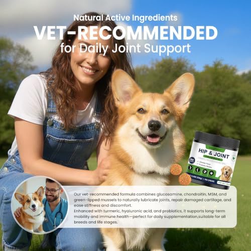 Hip and Joint Supplement for Dogs, Glucosamine for Dogs Joint Supplement