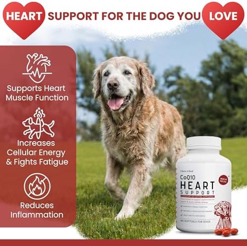 CoQ10 for Dogs, 60 Soft Gels - Dog Heart Health Supplement, Cardiac and Kidney Support - 30mg Coenzyme q10 for Dog Cardiovascular, Immune Health and Cellular Energy Support - Made in the USA