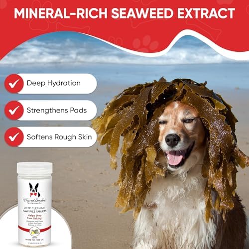 Warren London Deep Cleaning Paw Soak for Dogs – Soothes Itchy, Irritated Paws with Aloe Vera, Seaweed & Tea Tree Oil | Anti-Lick Paw Treatment | 5-Minute at-Home Spa for Dogs | 12 Fizzy Tablets