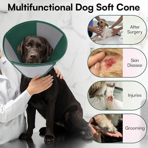Queenmore Dog Cones for Medium Dogs, Soft Dog Cone, Cone for Dogs After Surgery, Adjustable Recovery Collar for Wound Healing, Comfortable Pet E-Collar to Stop Licking (Dark Green,M)