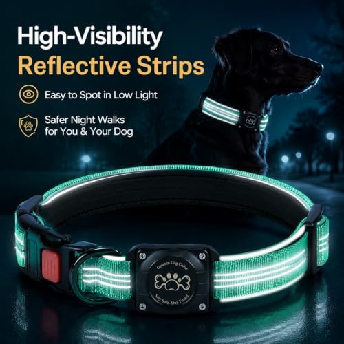 Geamen Dog Collar for Airtag Waterproof QR Code Reflective Collar(Teal,XL) | Built-in Waterproof Holder, QR Code Tag, Reflective,Secure Buckle