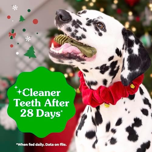 Greenies Regular Natural Dental Dog Treats, Gingerbread Flavor, 6 Count