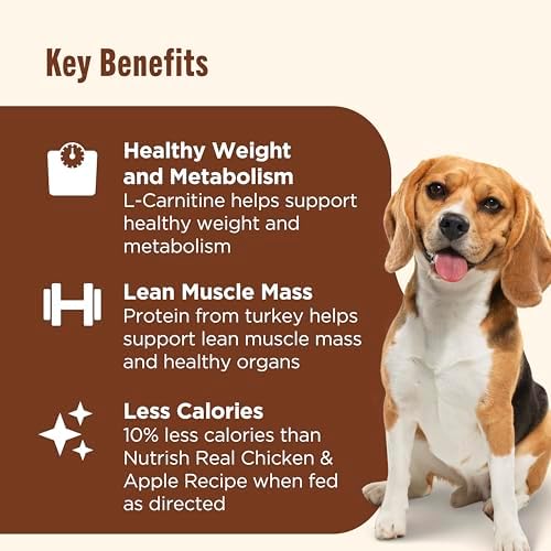 Nutrish Healthy Weight Wet Dog Food Paté,13 oz. Can, 12 Pack (Rachael Ray)
