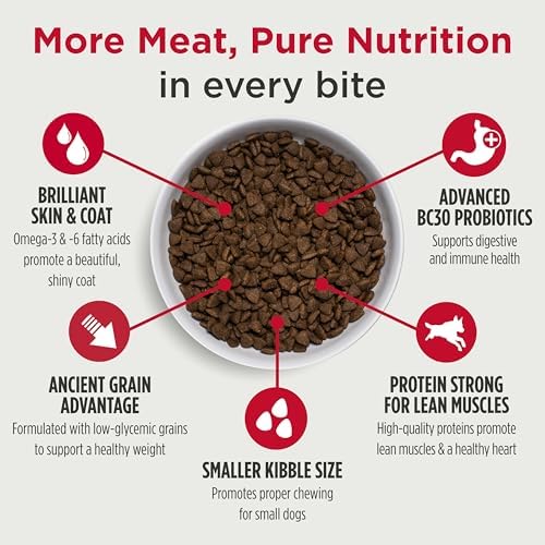 Nulo Frontrunner Dry Dog Food Small Breed - High-Protein Turkey, Whitefish & Quinoa Recipe, Natural Puppy & Adult Dog Food, Small Sized Kibble with Probiotics, Taurine, Omega 3, 14lb Bag