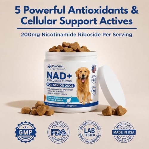 NAD+ Precursor Senior Dog Supplement – NMN Alternative Soft Chews for Longevity, Healthy Aging & Cellular Energy – Nicotinamide Riboside (NR), Resveratrol, Quercetin, Glucosamine & Omega-3