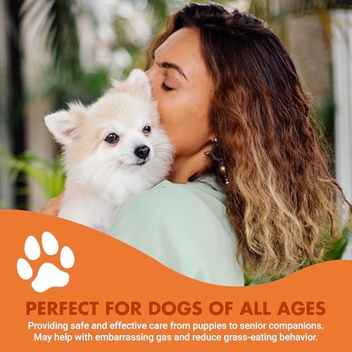 Liquid-Vet K9 Pre & PostBiotic Advanced (Pot Roast, 32oz Economy Size)
