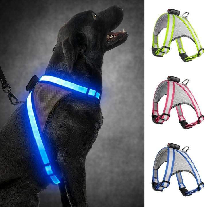Visinite LED Dog Harness, USB Rechargeable Light Up Dog Vest, 2 Illuminate Modes Glow in The Dark Dog Harness, Adjustable Lighted Pet Harness Light for Night Walking Safety(Blue, S)