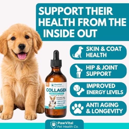 Liquid Collagen for Dogs – 1000mg 5 Types Grass-Fed Collagen Peptides (I, II, III, V & X) with MSM, Glucosamine, Chondroitin, Hyaluronic Acid – Skin & Coat, Itch Relief, Hip & Joint Support – 4oz
