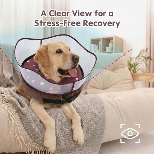 Avont 2-in-1 Dog Cone L Donut Shield