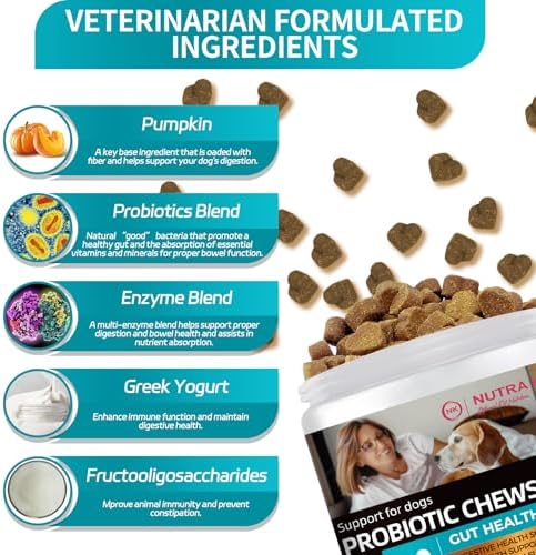 Probiotic Chews for Dogs, Lamb Flavor, 120 Soft Chews.
