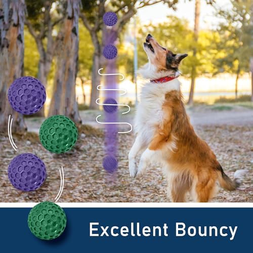 2 Pack Indestructible Squeaky Dog Balls for Aggressive Chewers, Interactive Dog Toys for Teething, Relieving Anxiety. Chew Toy for Large, Medium Breeds, Outdoor Rubber Balls.