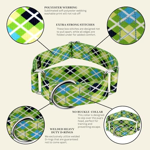 Country Brook Petz - HossFit Jr Wide Martingale Dog Collar - Plaid and Argyle Collection Featuring Charming Designs (Margarita Argyle, Large)