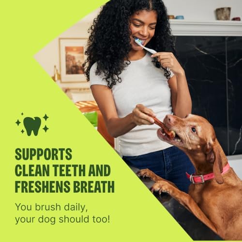 Whimzees Wellness Stix Natural Dog Dental Treat, Chews, Freshens Breath, Medium Size Sticks, 14.81 oz Bag, 14 Count