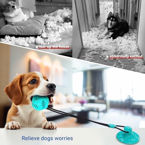 Dog Treat Food Dispensing Ball - Chew Toy with Suction Cup for Aggressive Chewers, Tug of War Toy, Stimulating Dog Activity Games for Training/Puppy Enrichment (Aqua)
