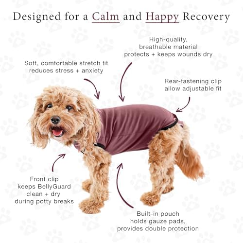 BellyGuard Dog Surgery Recovery Suit, Male Female After Spay Neuter Onesie